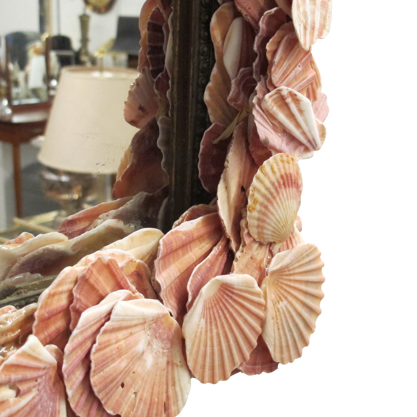 Mid-Century Scallop Shell Mirror on Antique Frame – Coastal Elegance, French