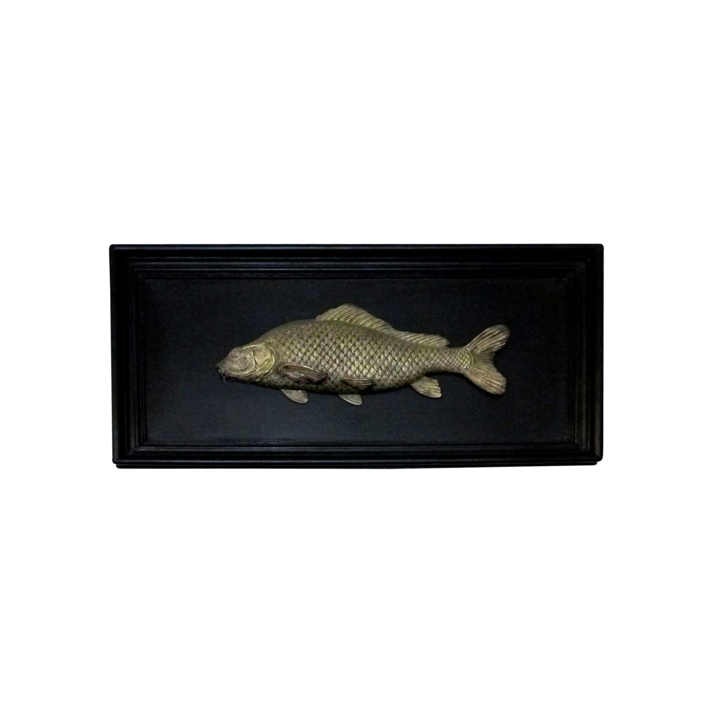 Set of 6 Early 20th Century Bronze Freshwater Fish Mounted On a Black Frame