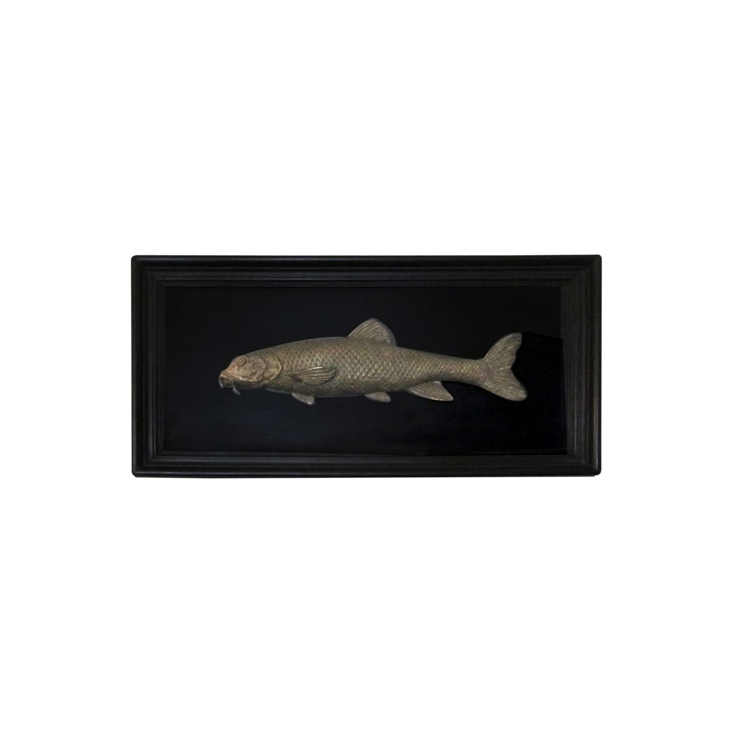 Set of 6 Early 20th Century Bronze Freshwater Fish Mounted On a Black Frame