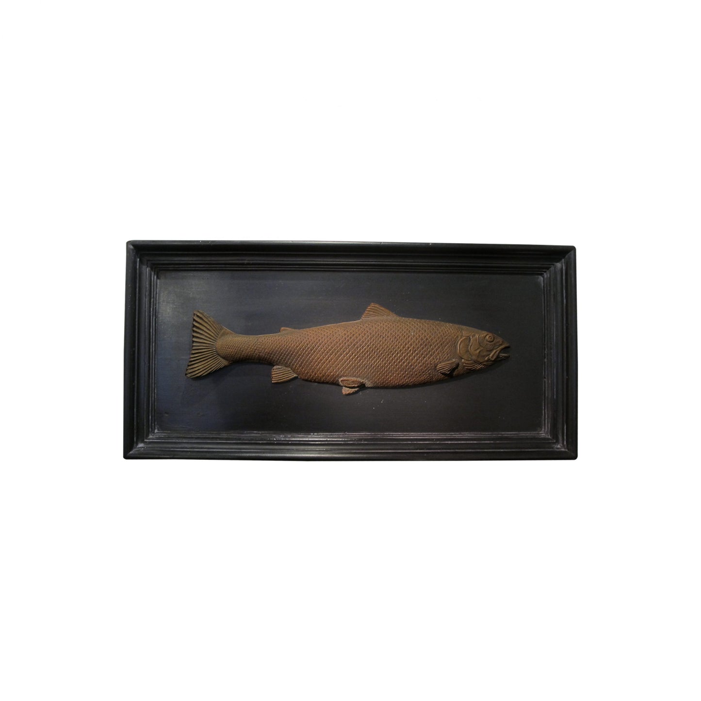 Set of 6 Early 20th Century Bronze Freshwater Fish Mounted On a Black Frame