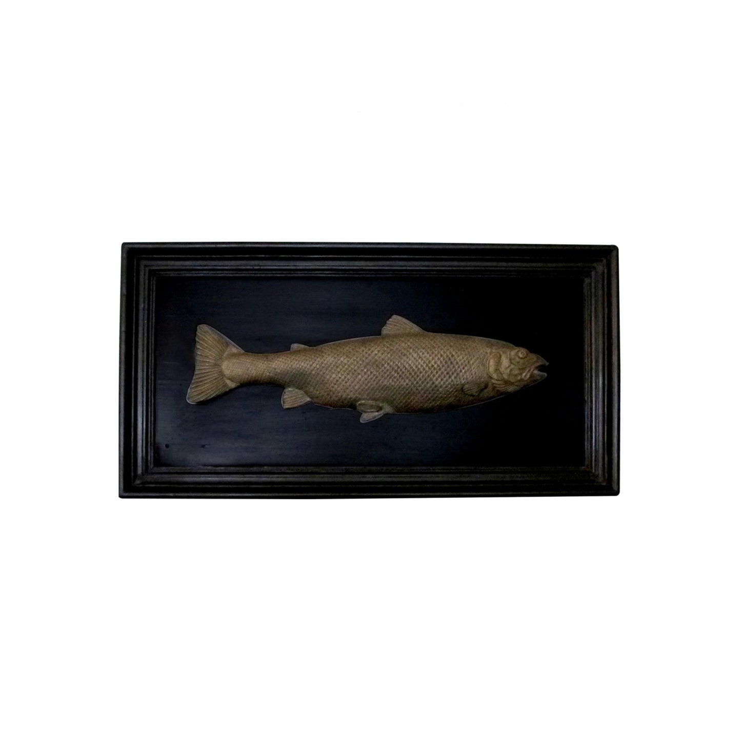 Set of 6 Early 20th Century Bronze Freshwater Fish Mounted On a Black Frame