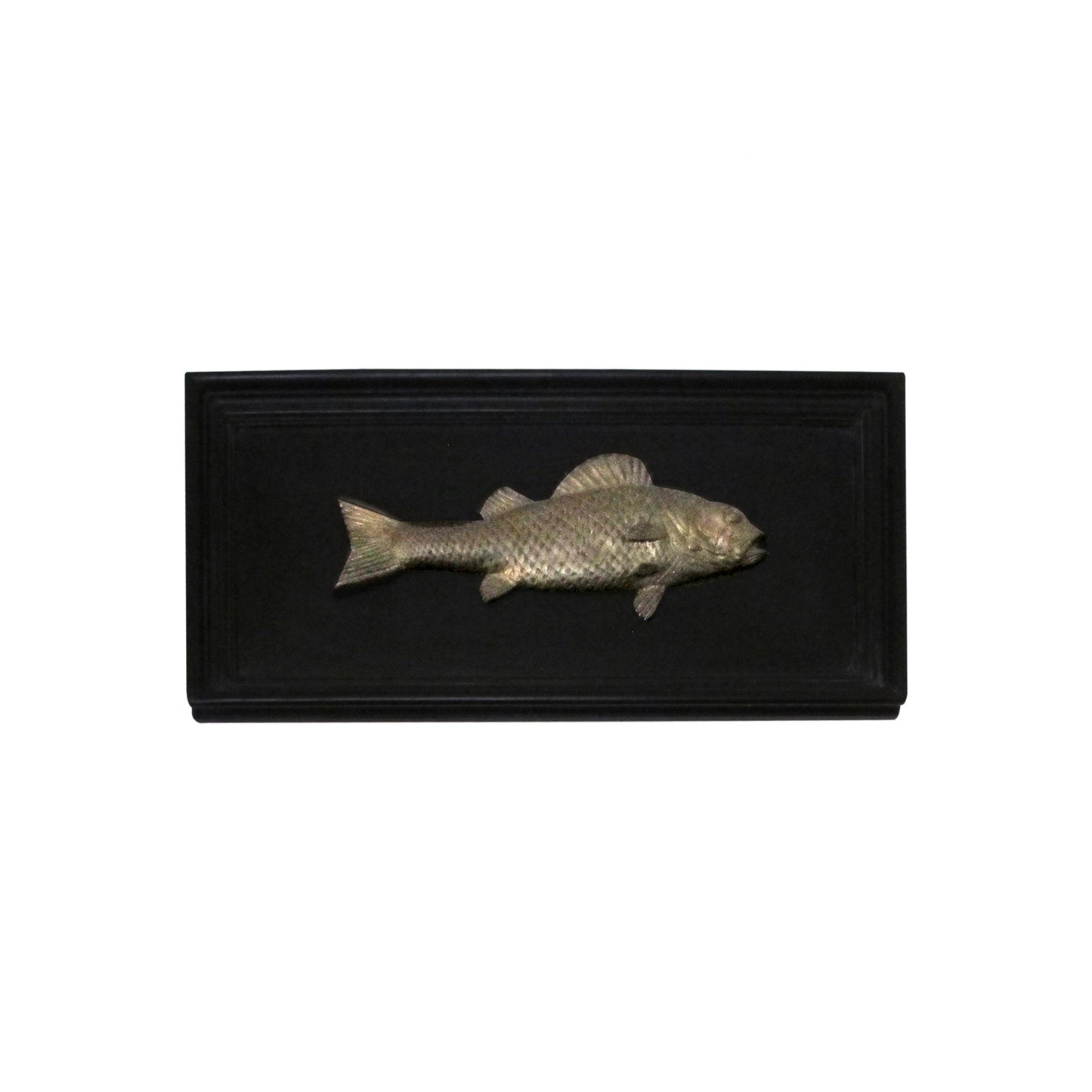 Set of 6 Early 20th Century Bronze Freshwater Fish Mounted On a Black Frame