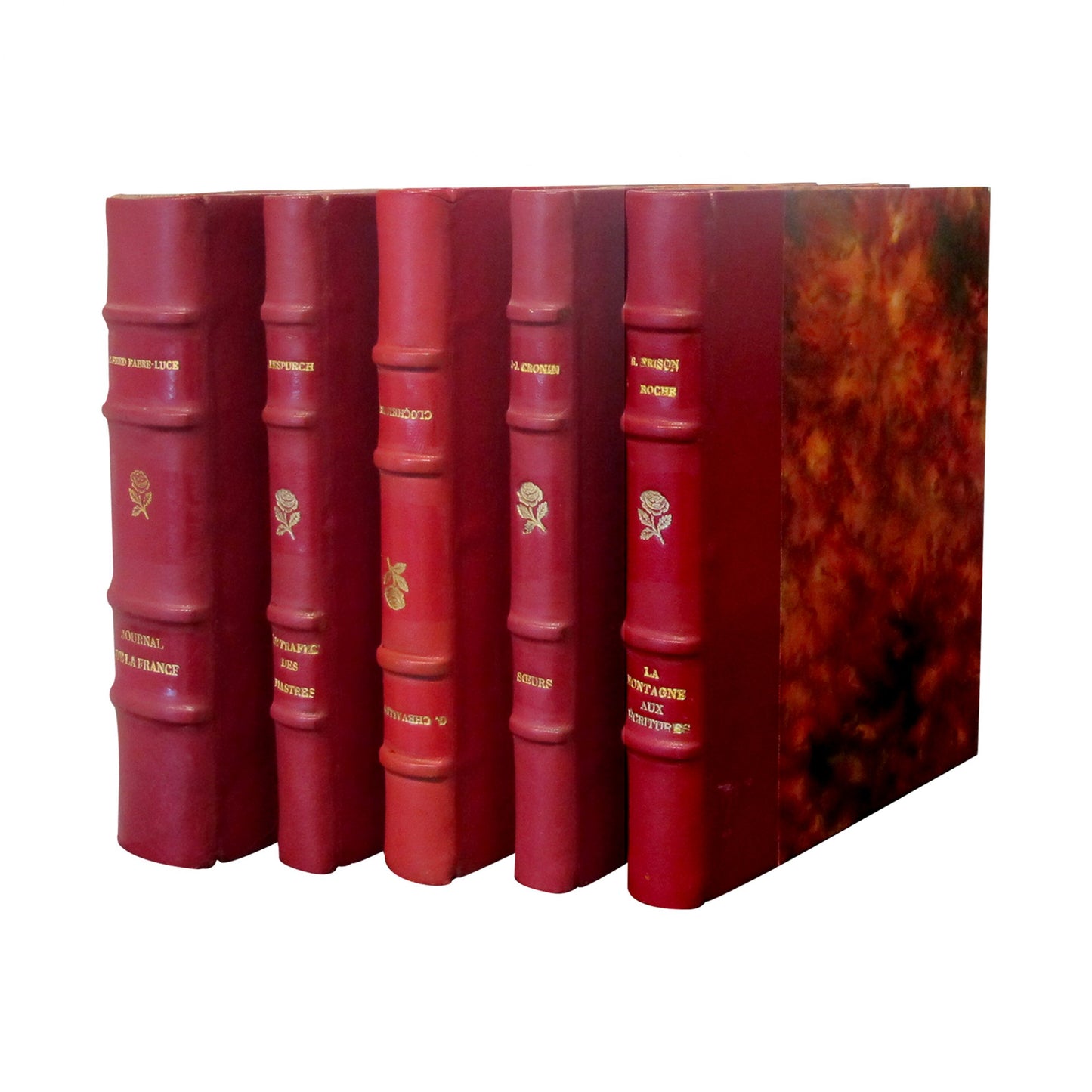 French Early 20th Century Set of 19 Novels Red Leather-Bound books