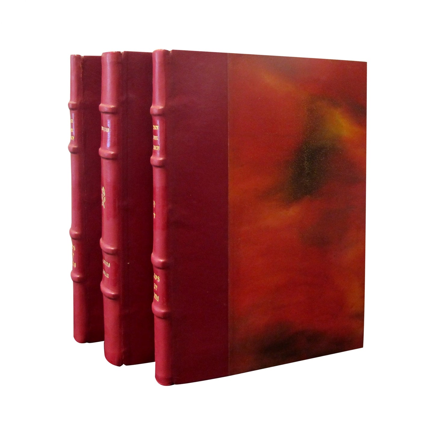 French Early 20th Century Set of 19 Novels Red Leather-Bound books