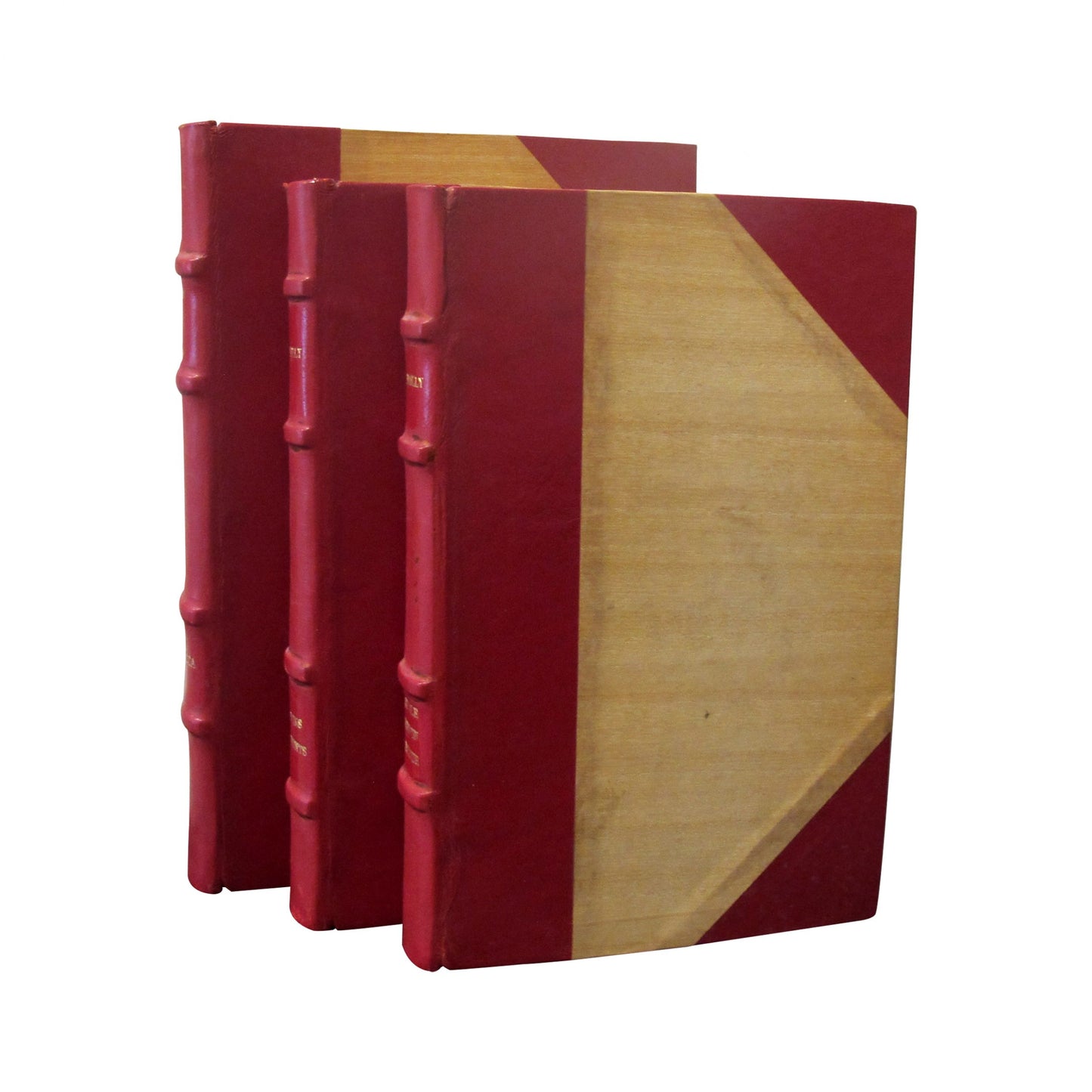 French Early 20th Century Set of 19 Novels Red Leather-Bound books