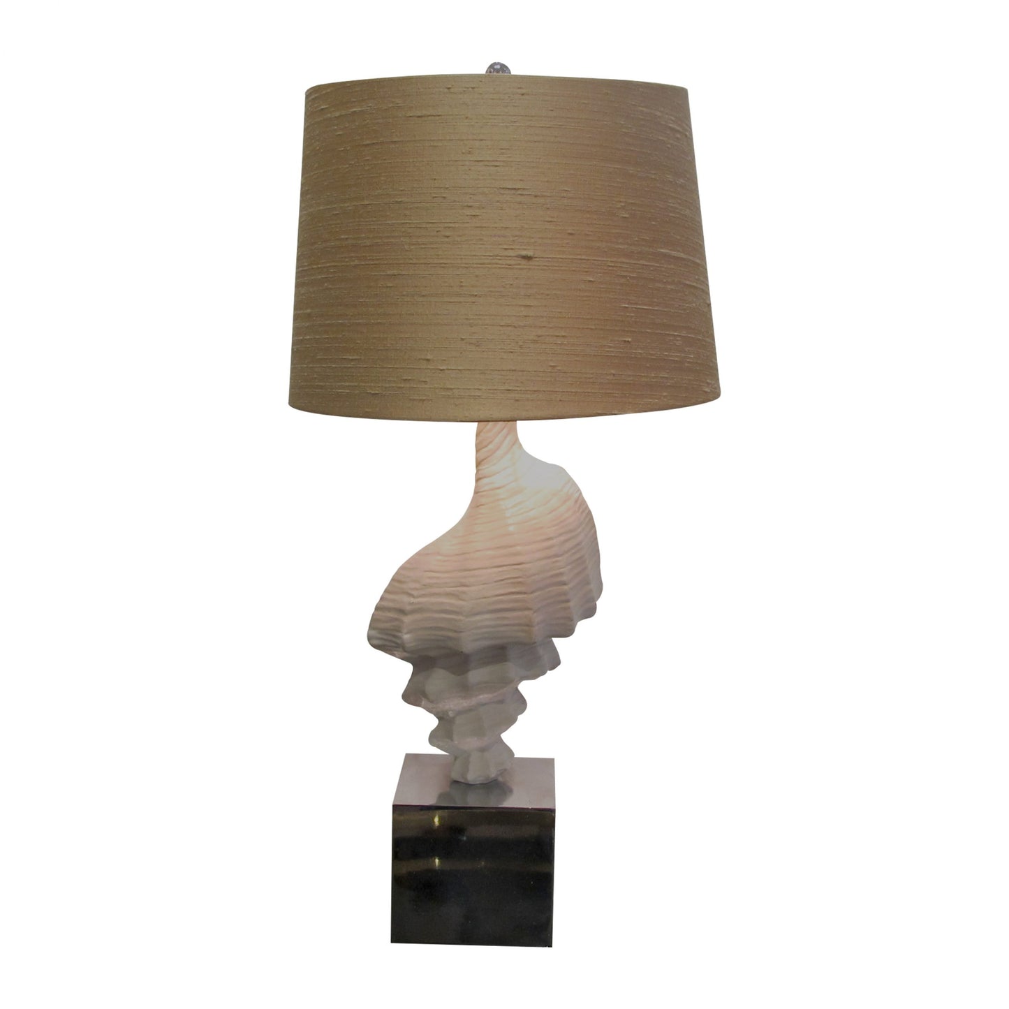 North American 1960s Pair of Conch Shell Table Lamps on a Plinth