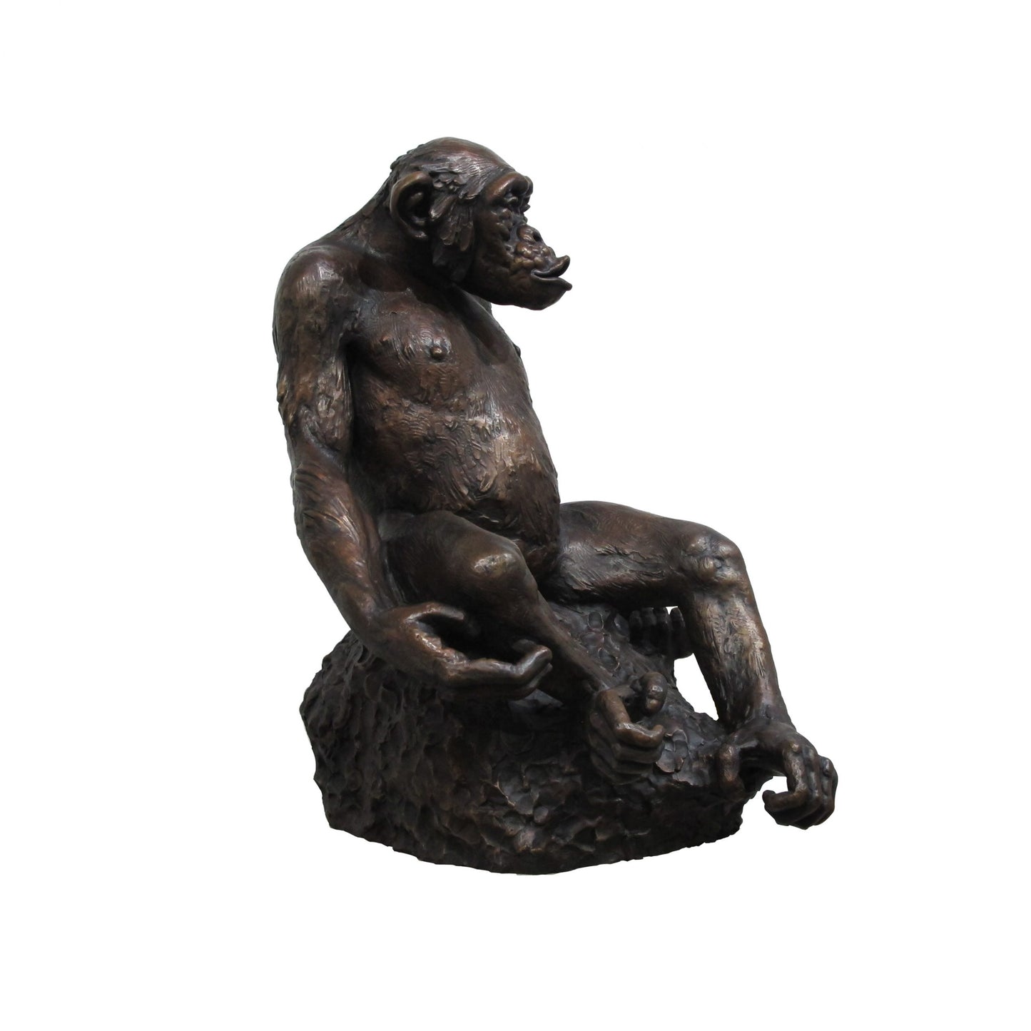 Bronze Chimpanzee Sculpture