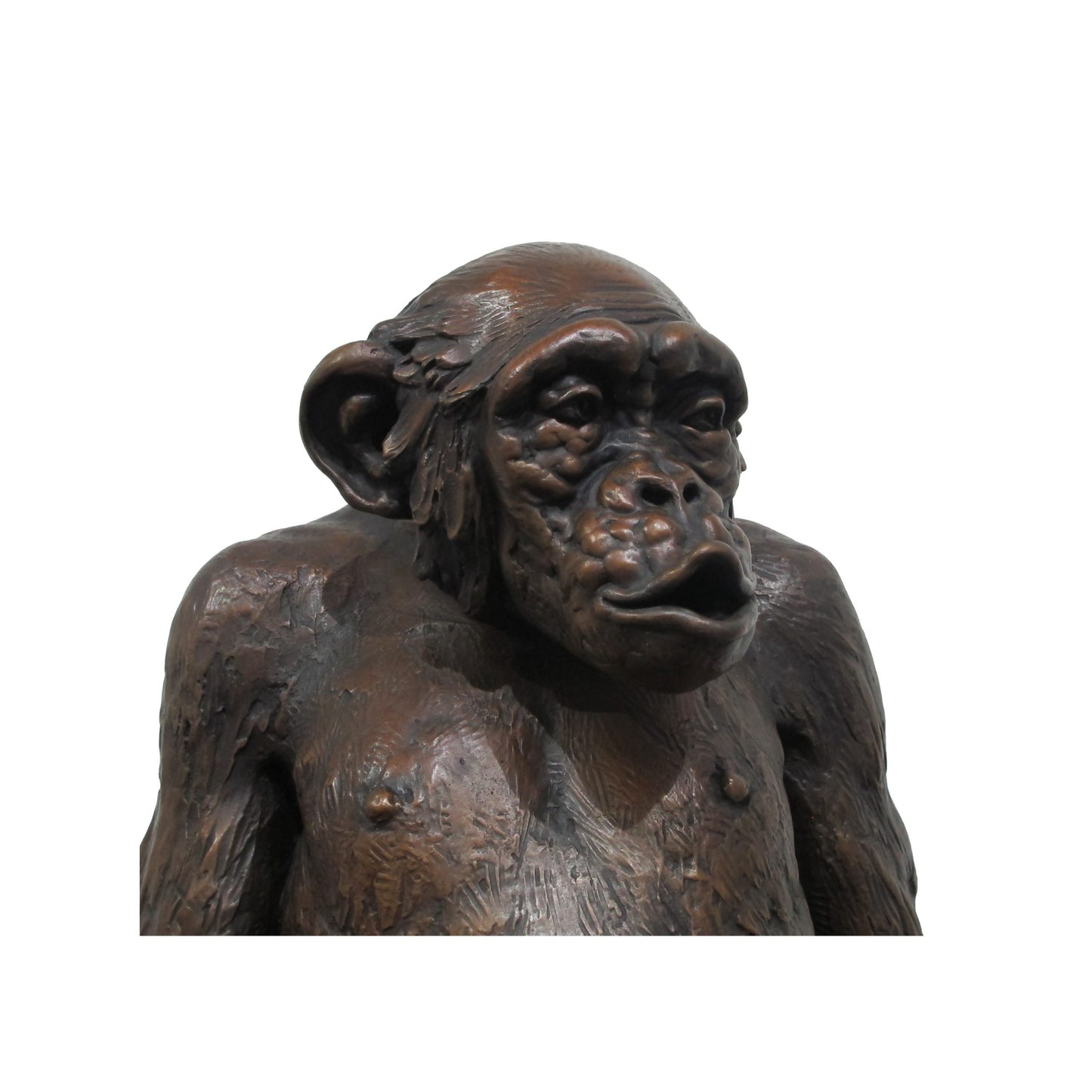 Bronze Chimpanzee Sculpture