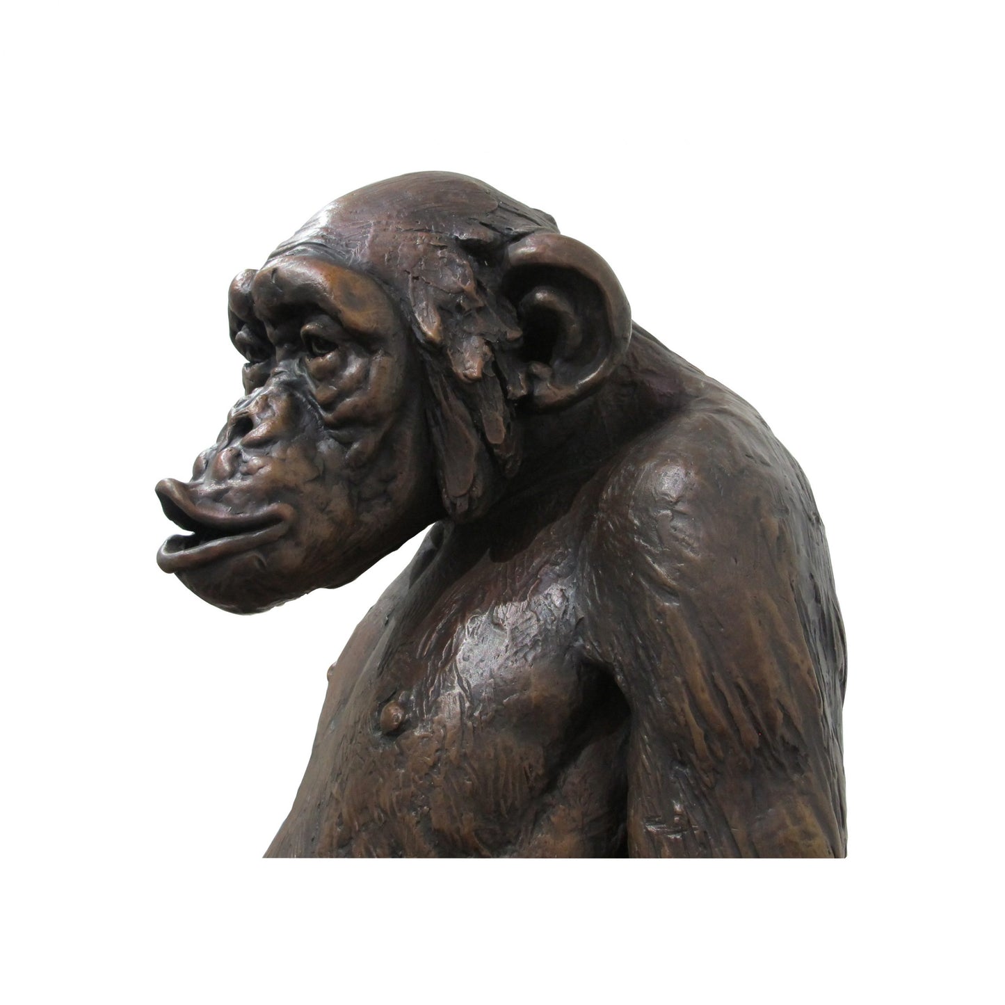 Bronze Chimpanzee Sculpture