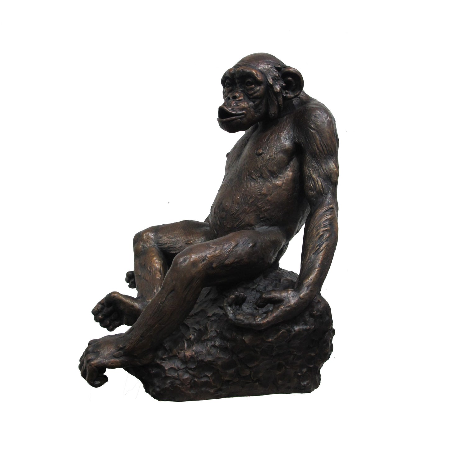 Bronze Chimpanzee Sculpture