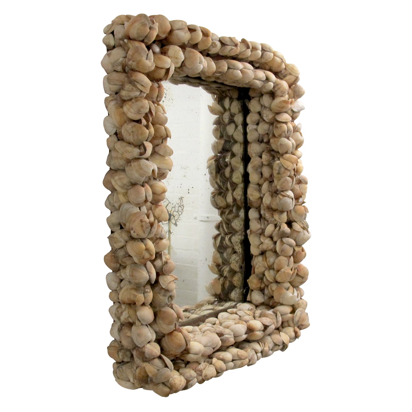 Mid-Century French Handcrafted Clam Seashell Mirror