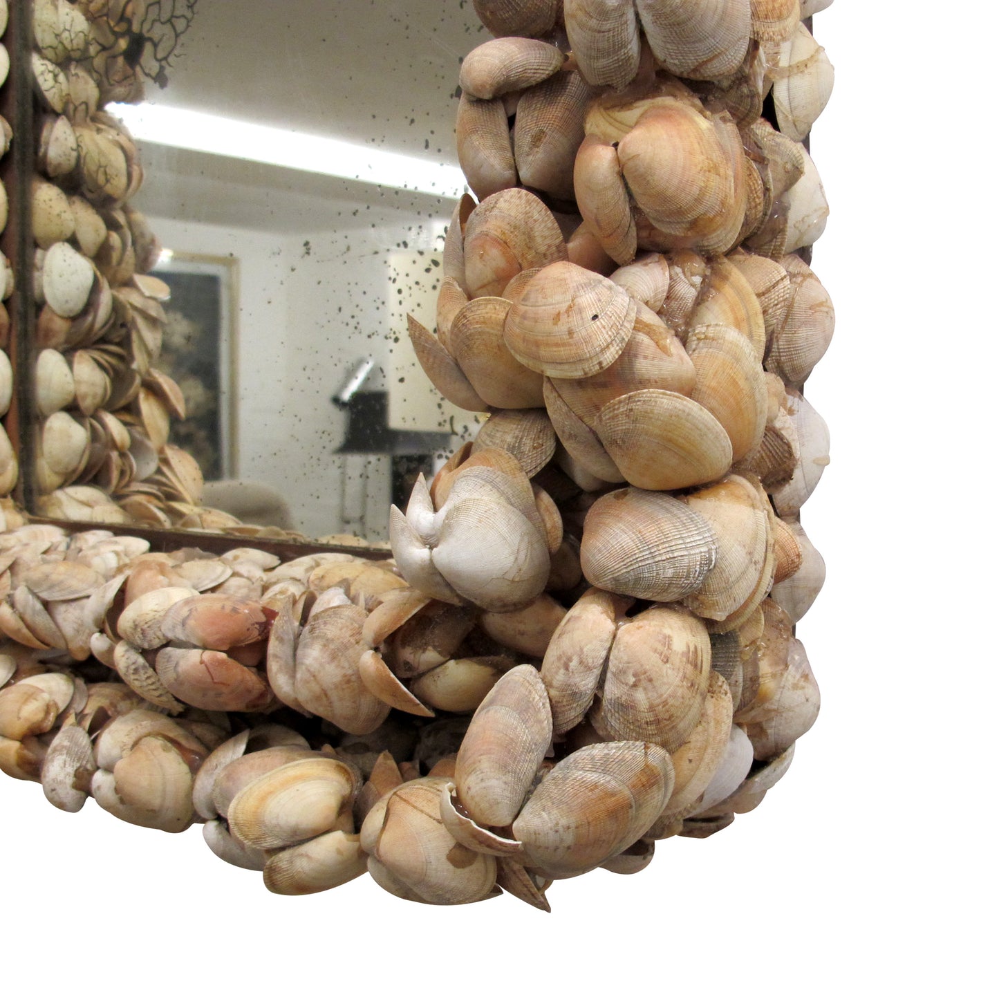 Mid-Century French Handcrafted Clam Seashell Mirror