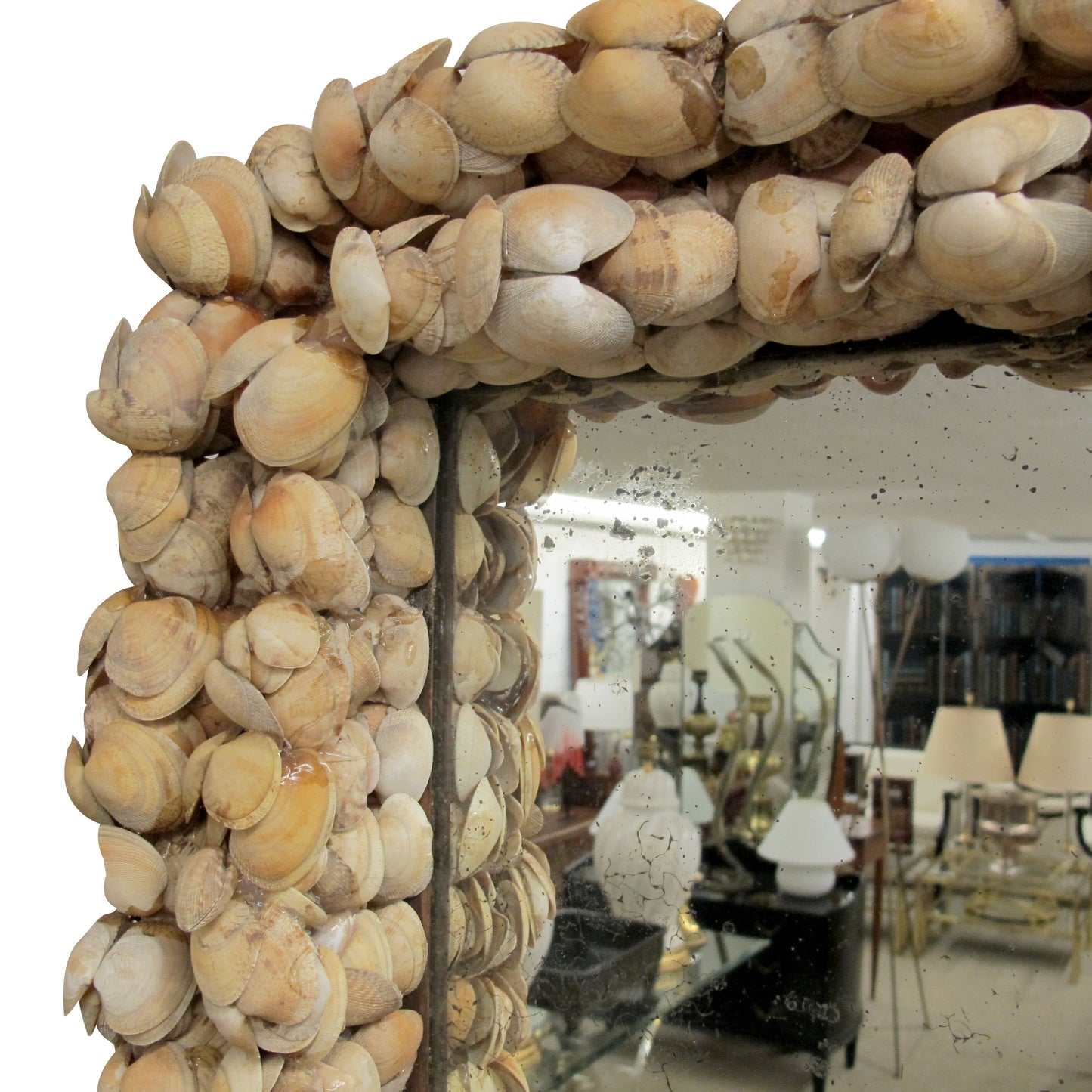 Mid-Century French Handcrafted Clam Seashell Mirror