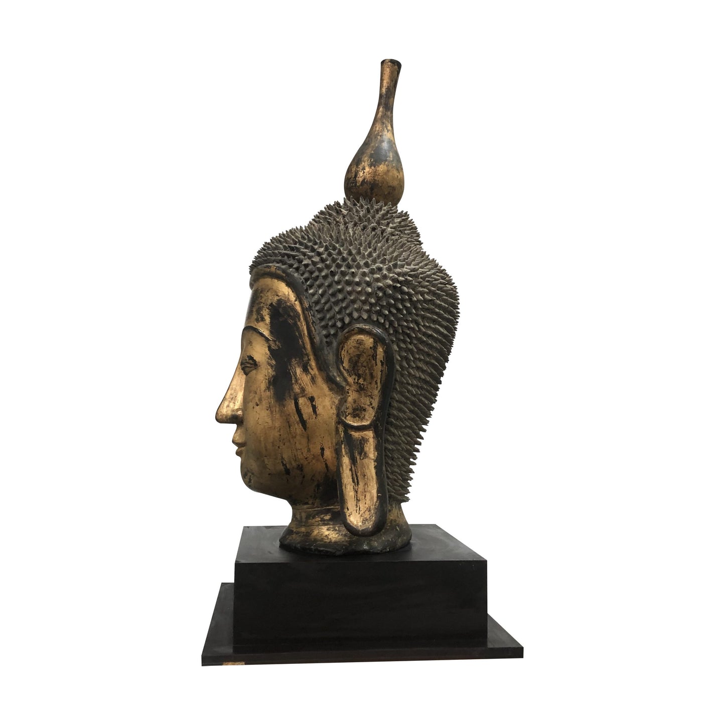 Early 20th Century Shan Burmese Large Dry Lacquer Gilt Buddha Head Sculpture