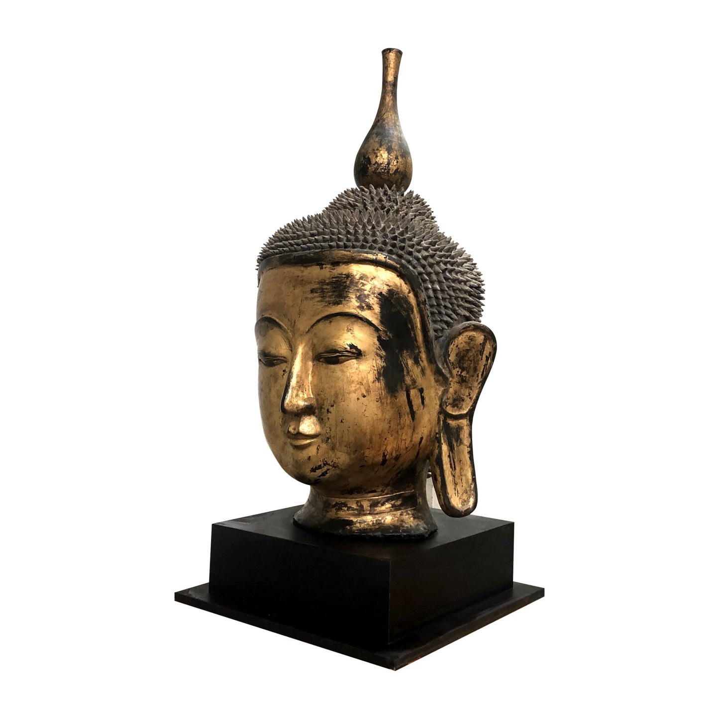 Early 20th Century Shan Burmese Large Dry Lacquer Gilt Buddha Head Sculpture