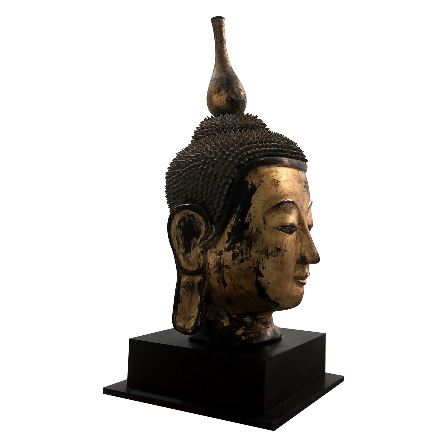 Early 20th Century Shan Burmese Large Dry Lacquer Gilt Buddha Head Sculpture