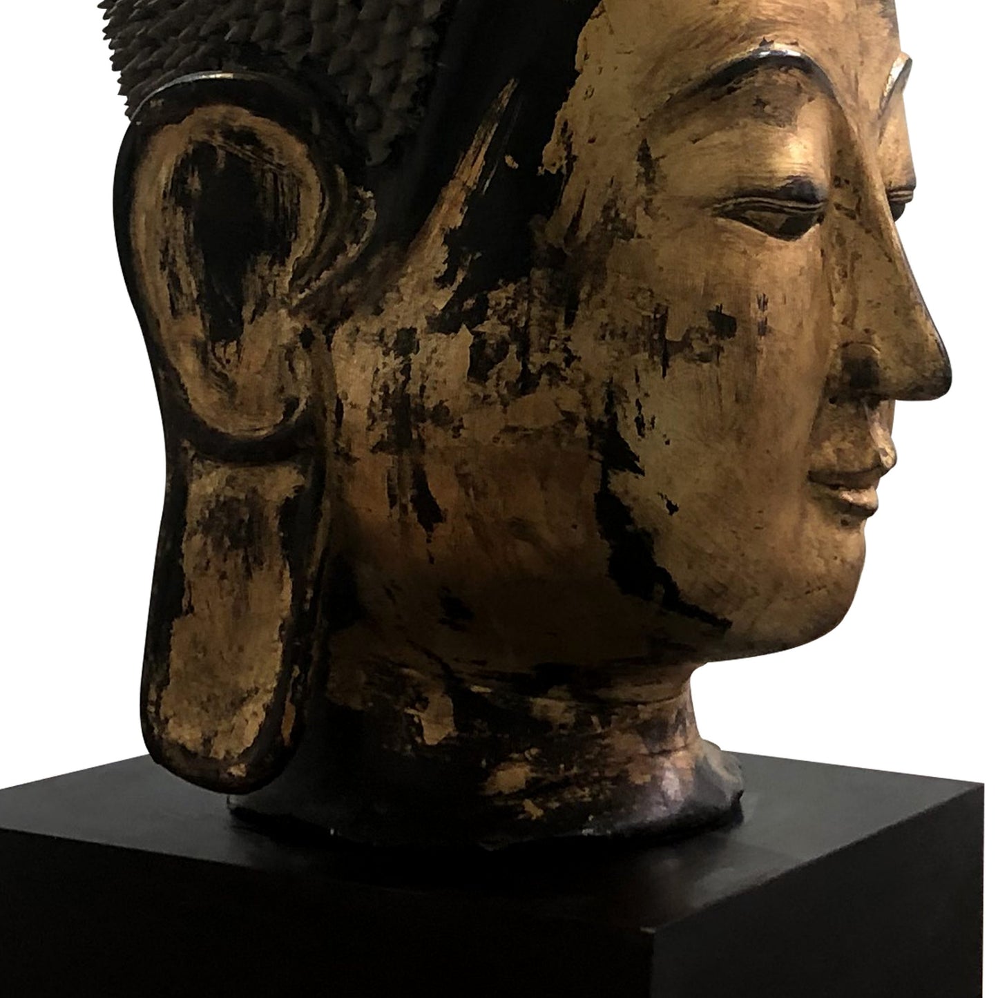 Early 20th Century Shan Burmese Large Dry Lacquer Gilt Buddha Head Sculpture