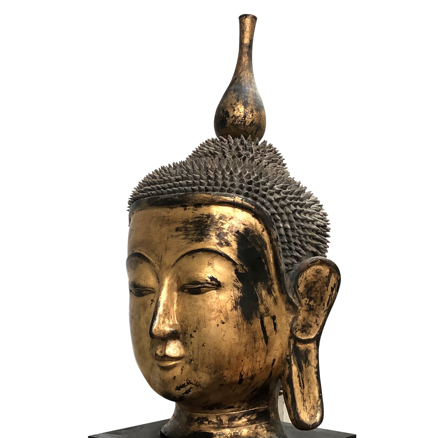 Early 20th Century Shan Burmese Large Dry Lacquer Gilt Buddha Head Sculpture