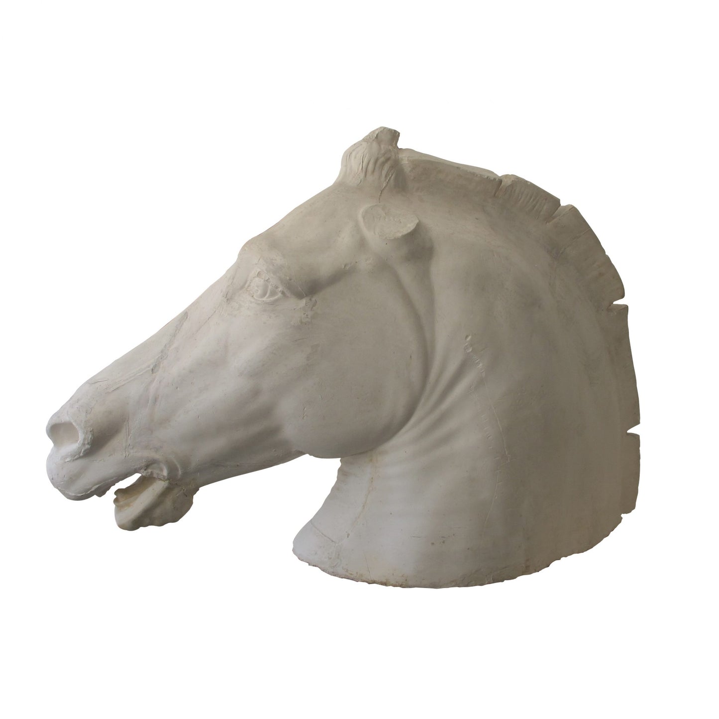 Life size plaster sculpture of a horse head, French, early 20th century