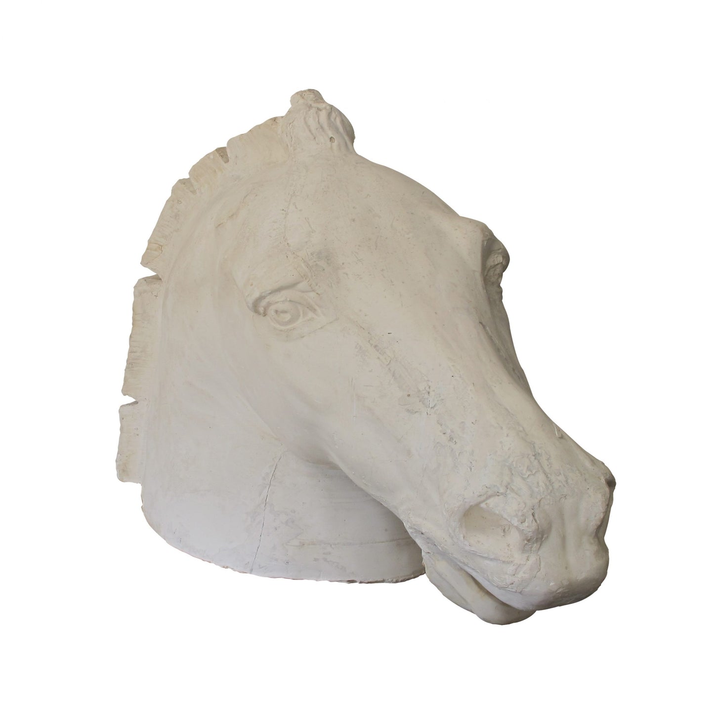 Life size plaster sculpture of a horse head, French, early 20th century