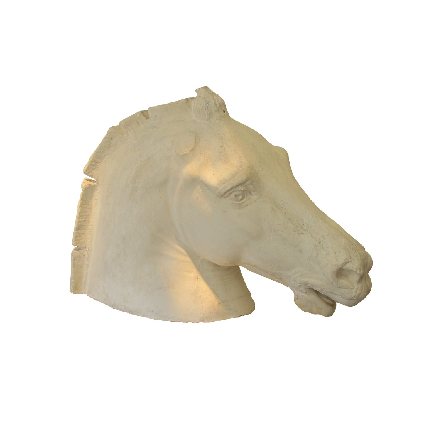 Life size plaster sculpture of a horse head, French, early 20th century