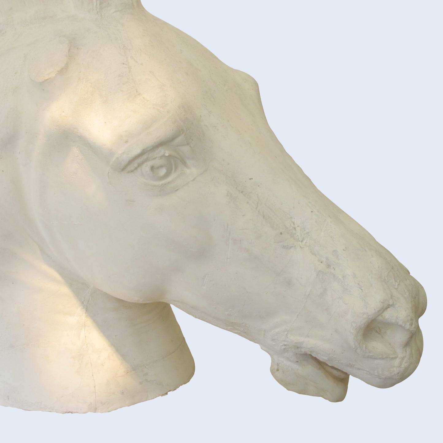 Life size plaster sculpture of a horse head, French, early 20th century