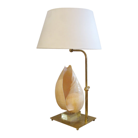 Mid-Century French Shell Table Lamp, 1950s