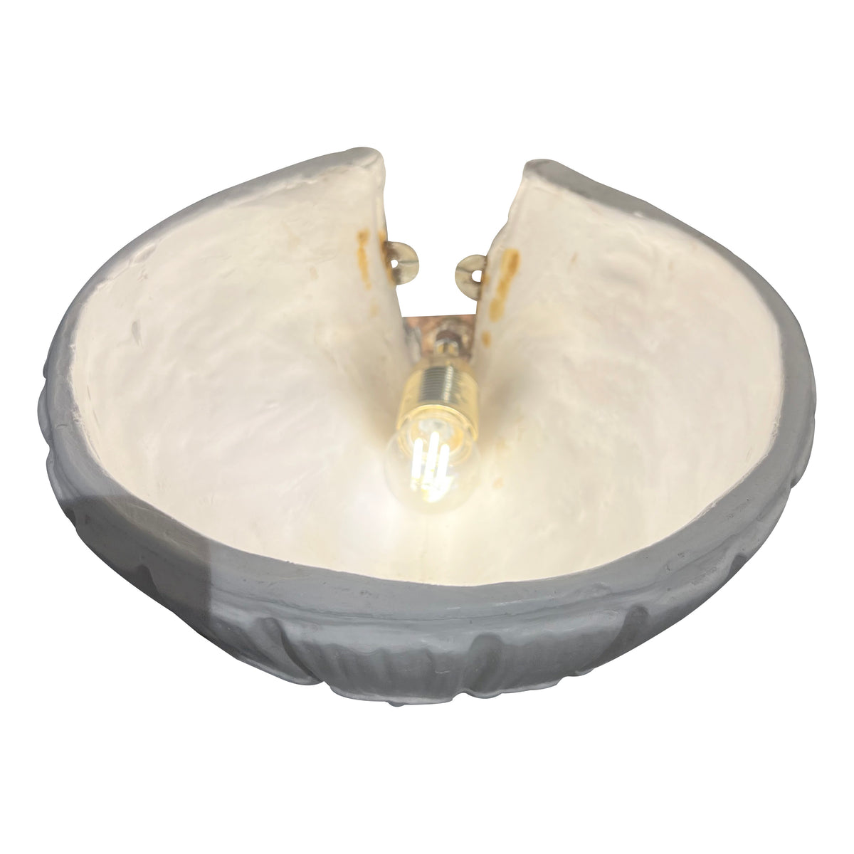 Pair of Scallop Shell Plaster Wall lights, English, 1960s